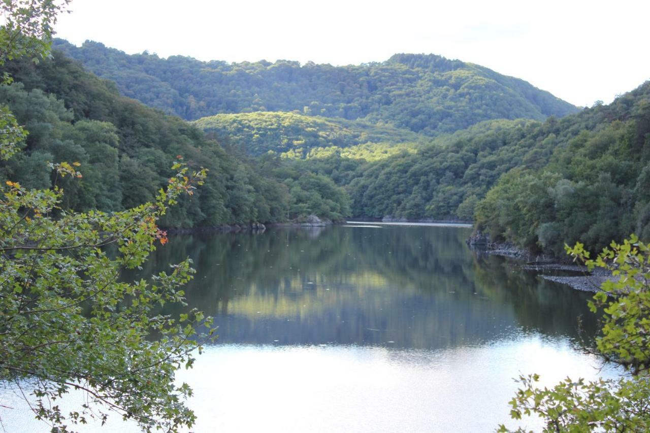 Maison Le Barrage Saint-Gervais-dʼAuvergne Kültér fotó